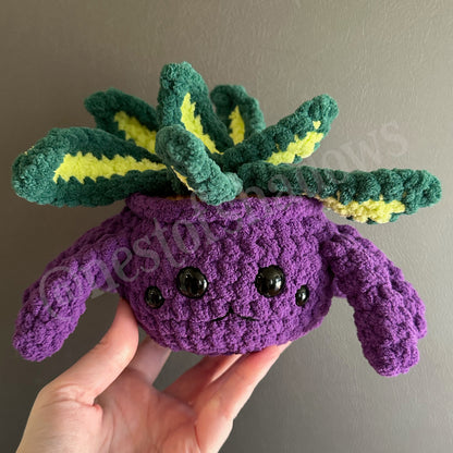 Crochet Pattern: Spider Plant